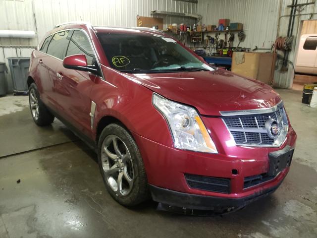 CADILLAC SRX LUXURY 2011 3gyfndey8bs603852