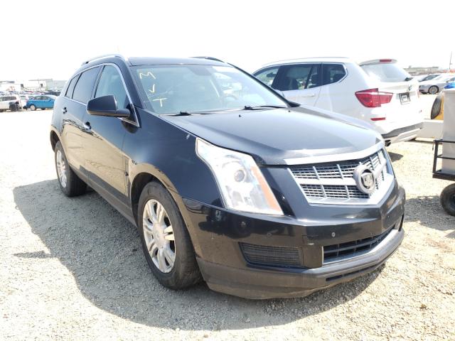 CADILLAC SRX LUXURY 2010 3gyfndey9as638009