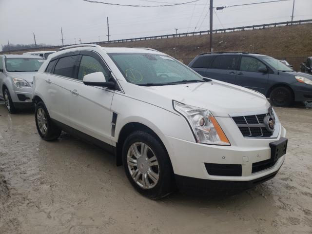 CADILLAC SRX LUXURY 2011 3gyfndey9bs574796