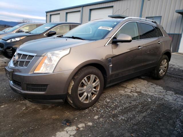 CADILLAC SRX LUXURY 2011 3gyfndey9bs649254