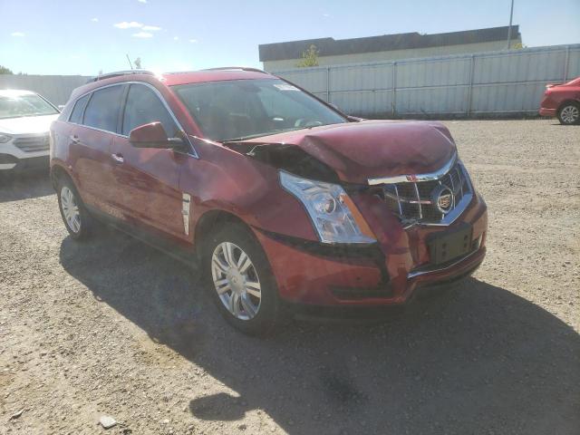 CADILLAC SRX LUXURY 2010 3gyfndeyxas508062