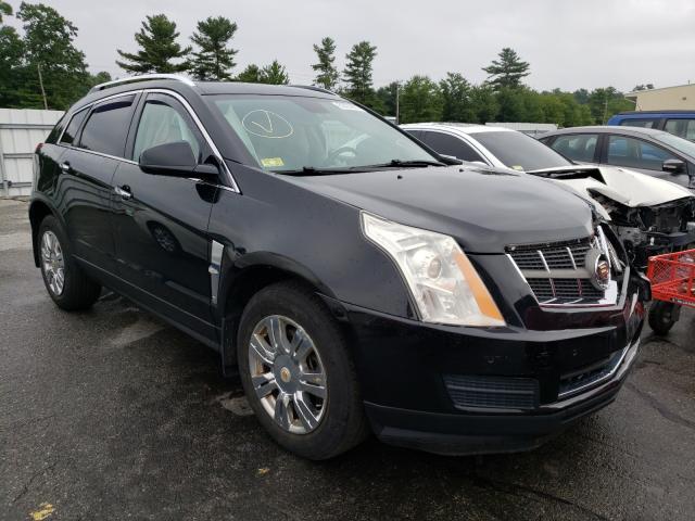 CADILLAC SRX LUXURY 2010 3gyfndeyxas529977