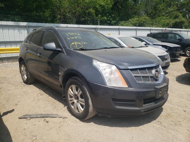 CADILLAC SRX LUXURY 2010 3gyfndeyxas557696