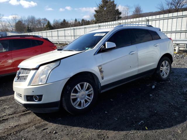 CADILLAC SRX 2010 3gyfndeyxas565085