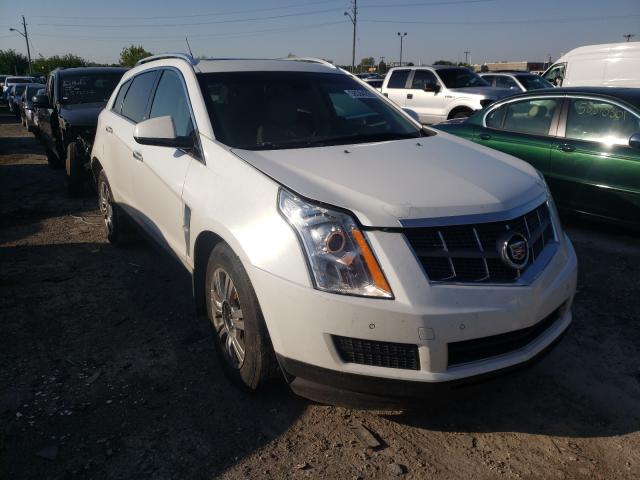 CADILLAC SRX LUXURY 2010 3gyfndeyxas610218