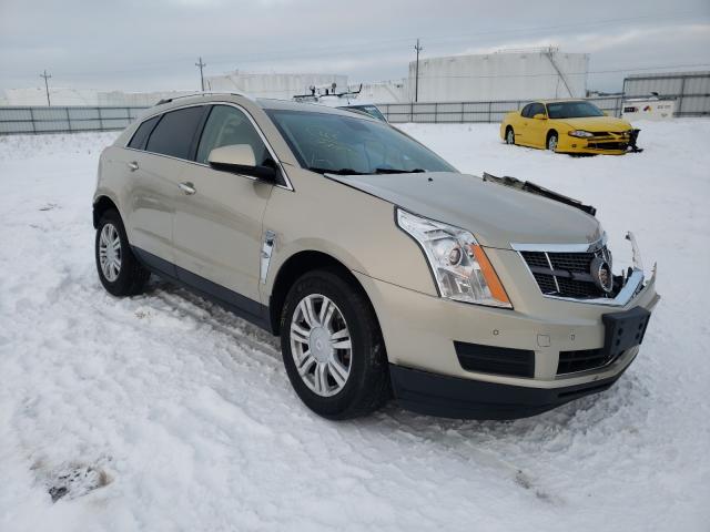 CADILLAC SRX LUXURY 2010 3gyfndeyxas642571