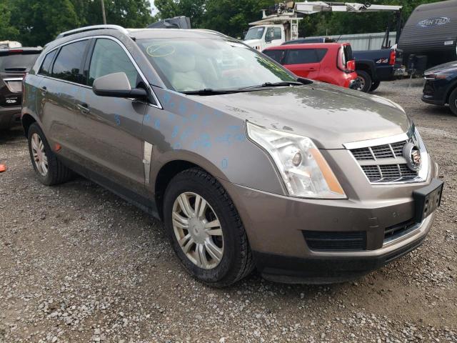 CADILLAC SRX LUXURY 2011 3gyfndeyxbs546067