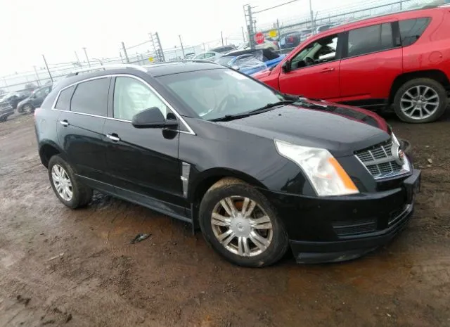 CADILLAC SRX 2011 3gyfndeyxbs570384