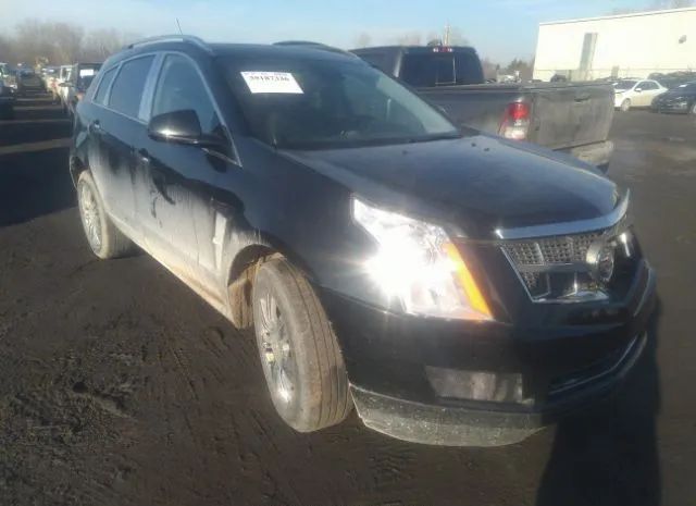 CADILLAC SRX 2011 3gyfndeyxbs610088