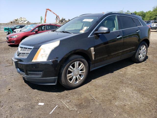 CADILLAC SRX LUXURY 2011 3gyfndeyxbs678150