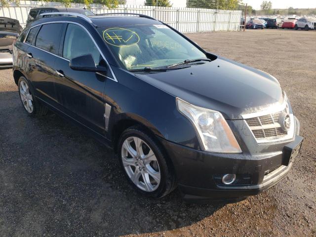 CADILLAC SRX PERFOR 2011 3gyfnee6xbs559907