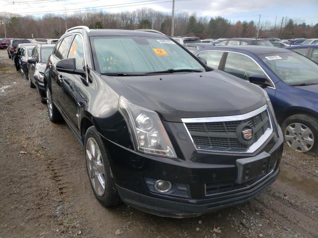 CADILLAC SRX PERFOR 2010 3gyfneey0as565165