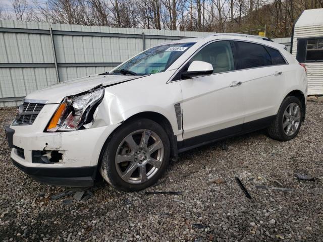 CADILLAC SRX PERFOR 2010 3gyfneey0as584332