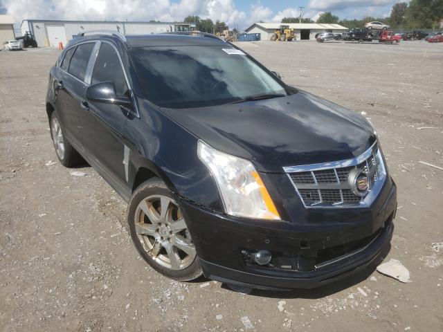 CADILLAC SRX PERFOR 2010 3gyfneey0as622058