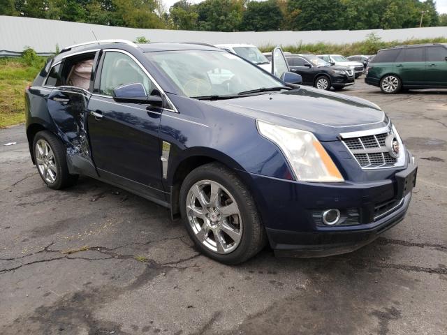 CADILLAC SRX PERFOR 2011 3gyfneey0bs554183