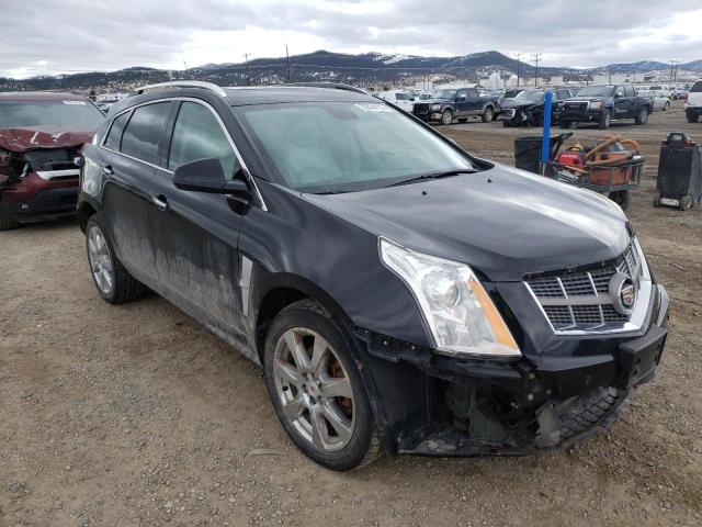 CADILLAC SRX PERFOR 2010 3gyfneey1as501961