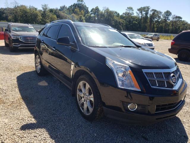 CADILLAC SRX PERFOR 2010 3gyfneey1as557270