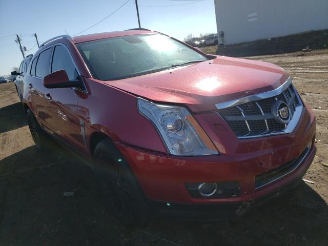 CADILLAC SRX PERFOR 2011 3gyfneey1bs561112