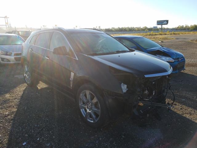 CADILLAC SRX PERFOR 2011 3gyfneey1bs657547