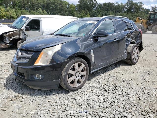 CADILLAC SRX PERFOR 2010 3gyfneey2as633028