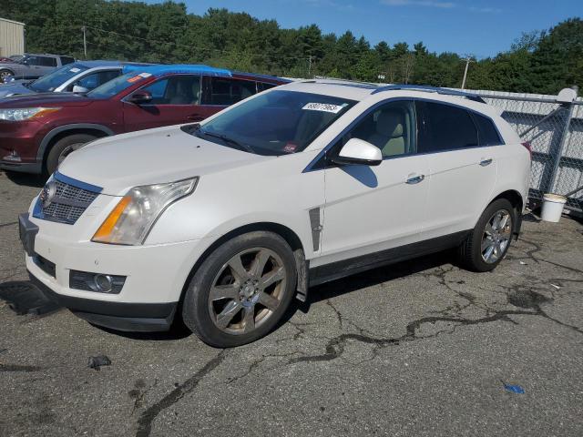 CADILLAC SRX PERFOR 2011 3gyfneey2bs548904