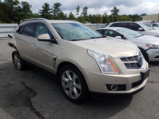 CADILLAC SRX PERFOR 2010 3gyfneey3as518308