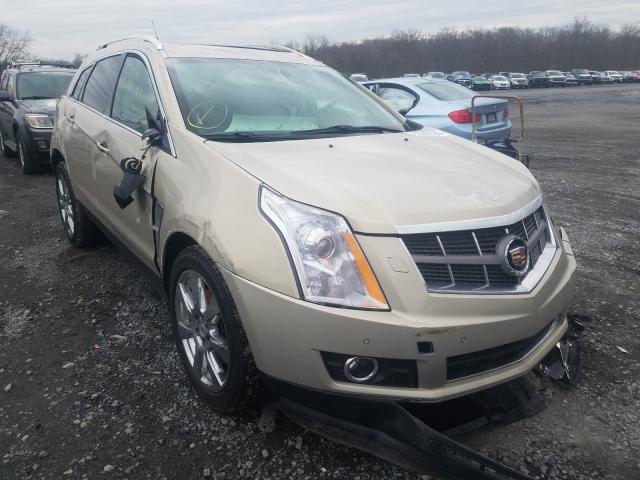 CADILLAC SRX PERFOR 2010 3gyfneey3as542964