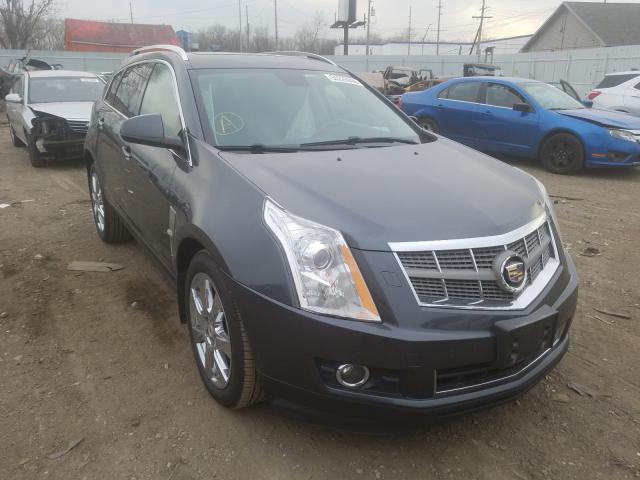 CADILLAC SRX PERFOR 2010 3gyfneey3as651781