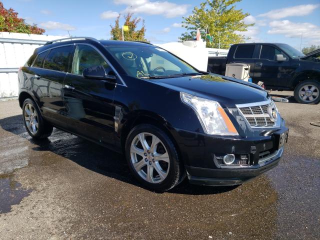 CADILLAC SRX PERFOR 2011 3gyfneey3bs510405