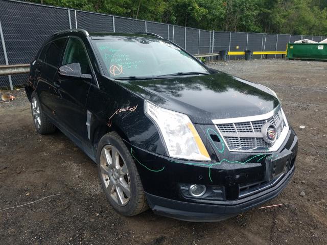 CADILLAC SRX PERFOR 2010 3gyfneey4as574077