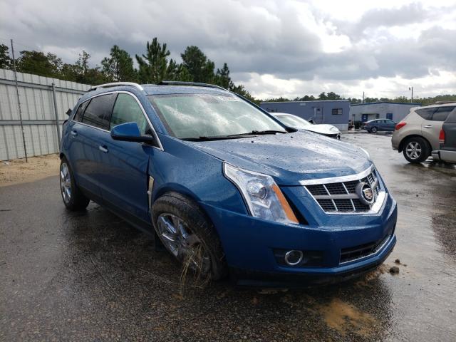 CADILLAC SRX PERFOR 2010 3gyfneey4as593468