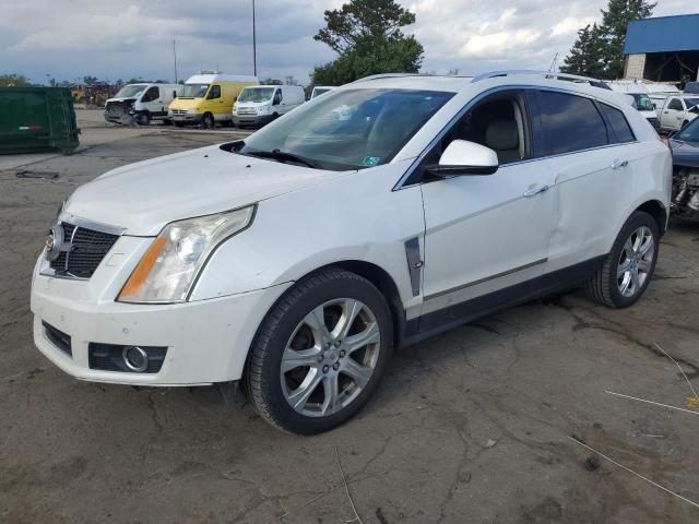 CADILLAC SRX PERFOR 2010 3gyfneey4as652521