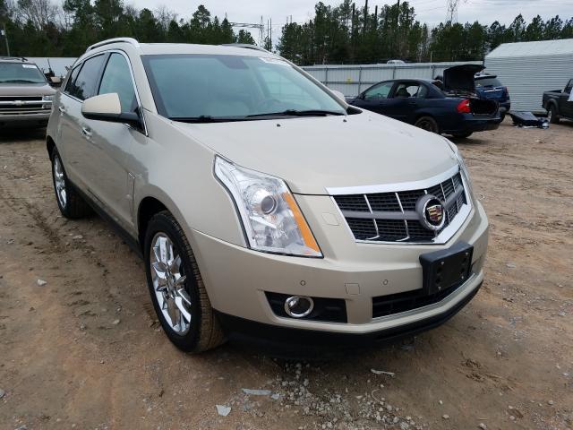 CADILLAC SRX PERFOR 2010 3gyfneey7as502886