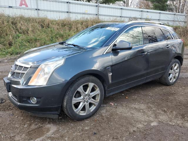 CADILLAC SRX 2010 3gyfneey7as596266