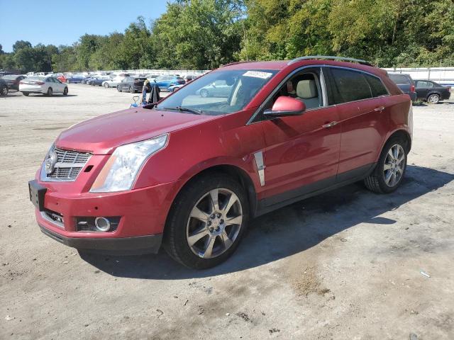 CADILLAC SRX PERFOR 2010 3gyfneey7as620789