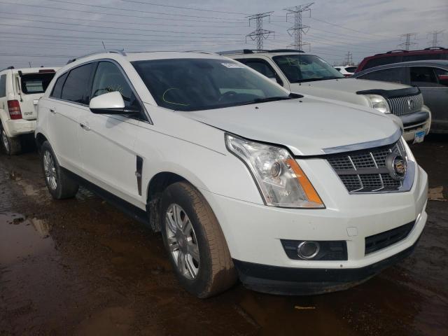 CADILLAC SRX PERFOR 2010 3gyfneey7as638788