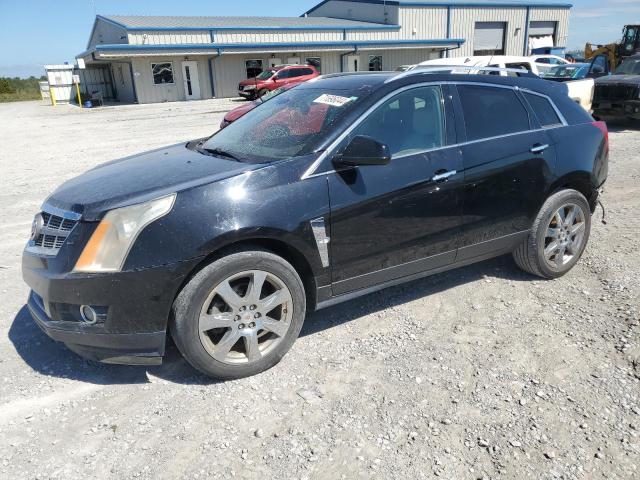 CADILLAC SRX PERFOR 2010 3gyfneey8as596146