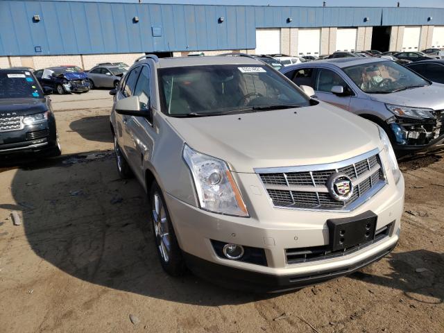 CADILLAC SRX PERFOR 2010 3gyfneey9as500198