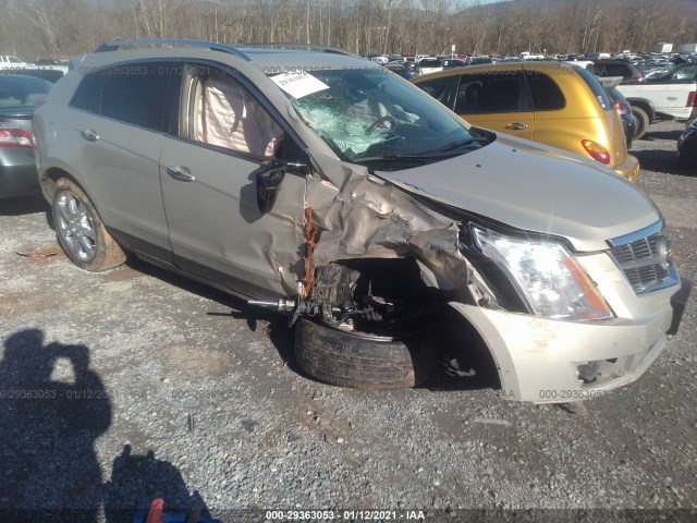 CADILLAC SRX 2010 3gyfneeyxas560748