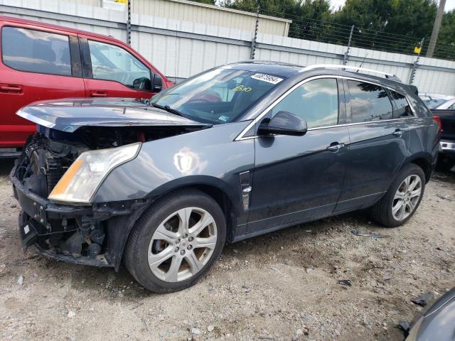 CADILLAC SRX PERFOR 2010 3gyfneeyxas565982