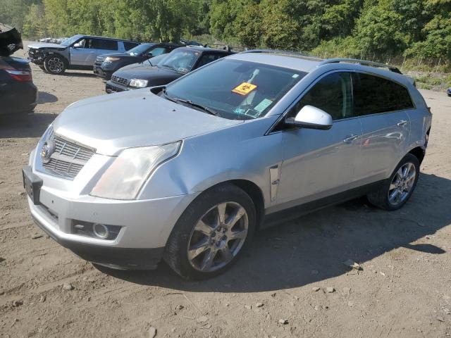 CADILLAC SRX PERFOR 2010 3gyfneeyxas611715