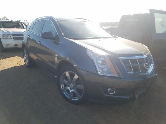 CADILLAC SRX PERFOR 2010 3gyfneeyxas652278