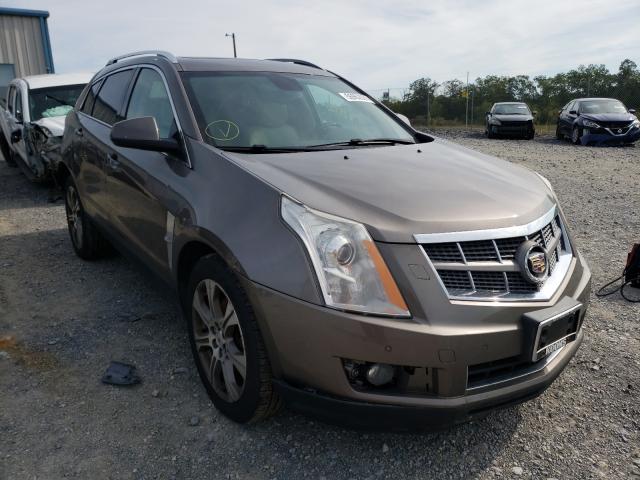 CADILLAC SRX PREMIU 2012 3gyfnfe36cs503184