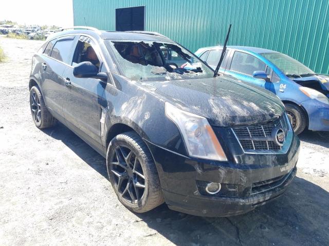 CADILLAC SRX PREMIU 2010 3gyfnfe41as556235