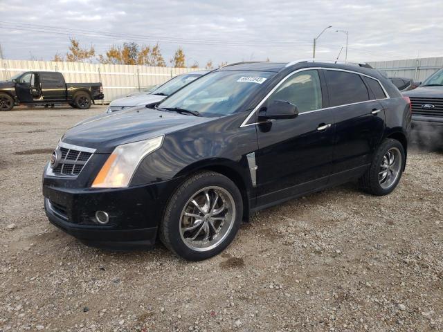 CADILLAC SRX 2010 3gyfnfe46as616641