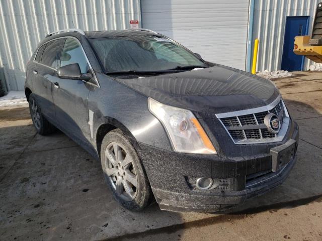 CADILLAC SRX PREMIU 2010 3gyfnfey0as523861