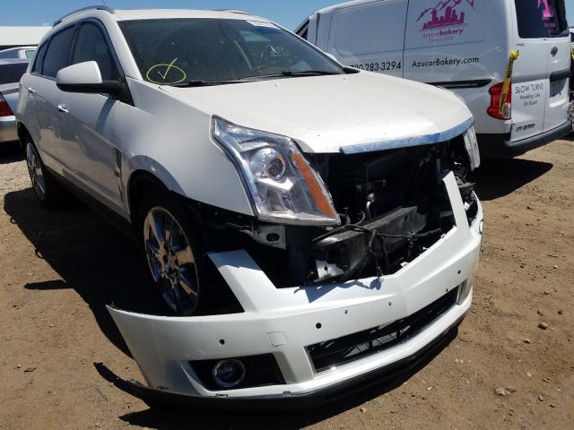 CADILLAC SRX PREMIU 2010 3gyfnfey0as577869