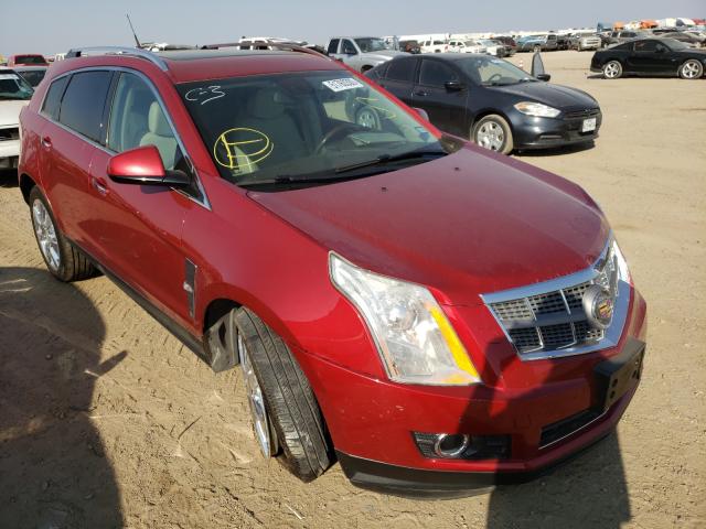 CADILLAC SRX PREMIU 2010 3gyfnfey0as651193