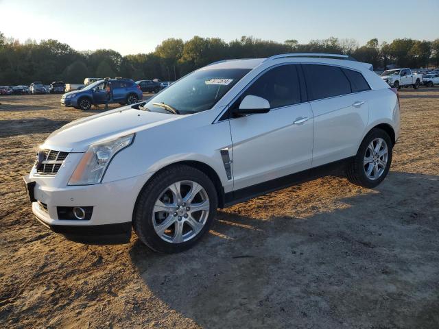 CADILLAC SRX PREMIU 2011 3gyfnfey0bs628806