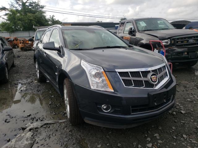 CADILLAC SRX PREMIU 2010 3gyfnfey1as502629